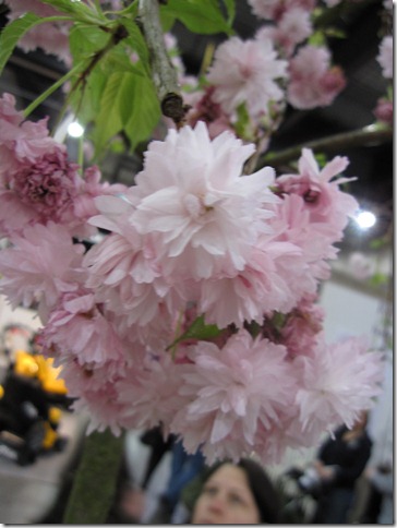 bloggebilder 143