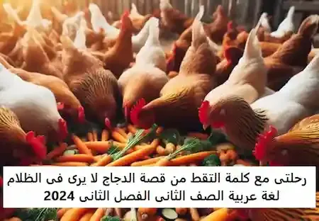 رحلتى مع كلمة التقط من قصة الدجاج لا يرى فى الظلام لغة عربية الصف الثانى الفصل الثانى 2024