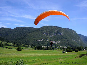Paragliding Picture