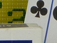 Panasonic ZS20 Sample Image
