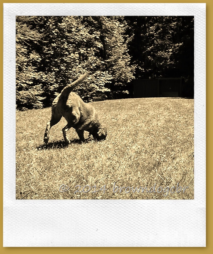 P1380148