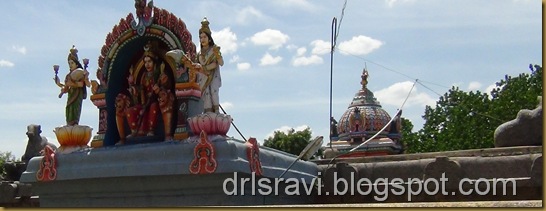DSC04633