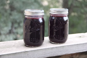 photo of jars of chokeberry jelly 