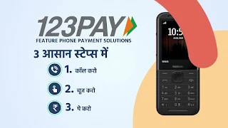 PNB launches IVR-based UPI PAY123