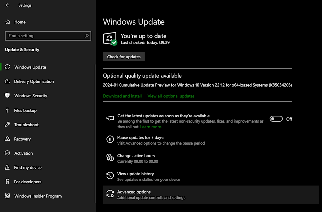 Tampilan Windows Update