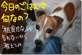 今日カズ１０１０１９　２