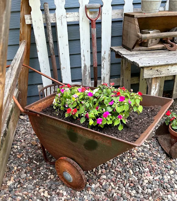 Photo of a rusty vintage garden cart planted with impatiens.