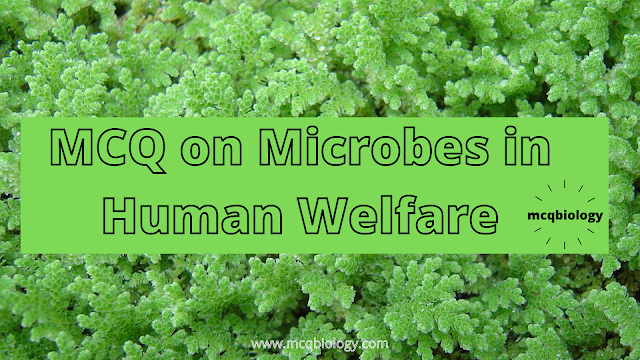 Multiple Choice Questions on Biopesticide and Biofertilizers  Microbes in Human Welfare