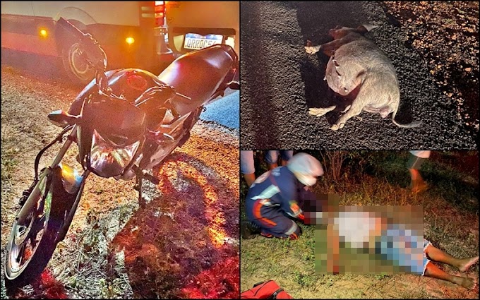 Homem fica gravemente ferido ao colidir moto com animal na PI-213 em Cocal