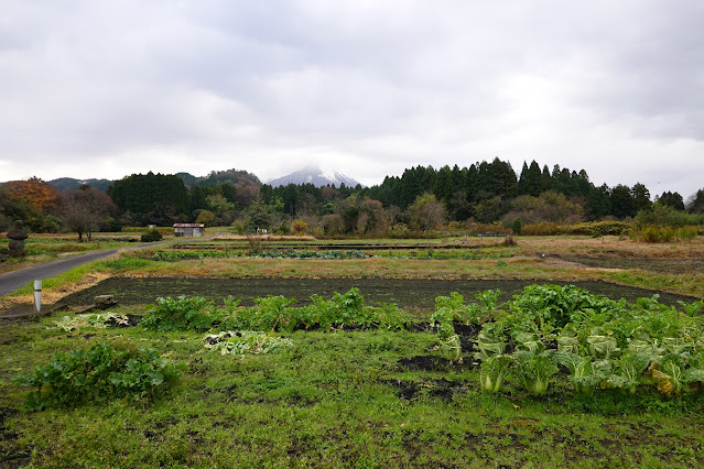 鳥取県西伯郡大山町赤松 赤松集落 農地