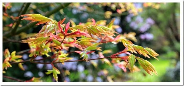04-IMG_0952