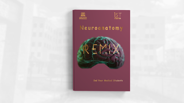 تحميل كتاب ريمكس في التشريح العصبي REMIX Neuroanatomy 1st Edition