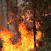 Antalya'daki yangın durdurulamıyor: Gündoğmuş ilçesi tahliye ediliyor!