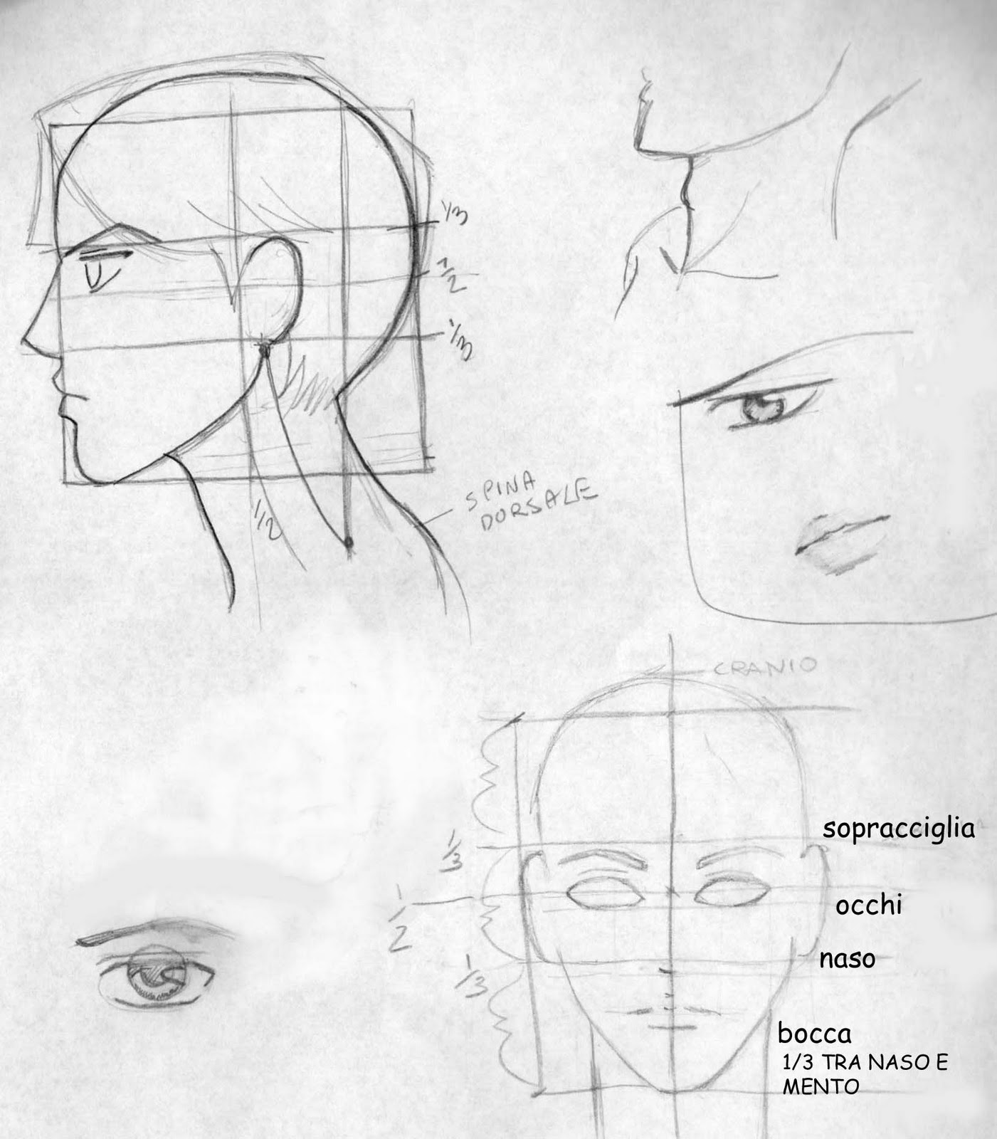 Miss Chroma Illustration How To Draw A Manga Face Male