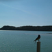 View album