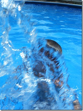 DSCF1179