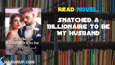 Snatched a Billionaire to be My Husband novel