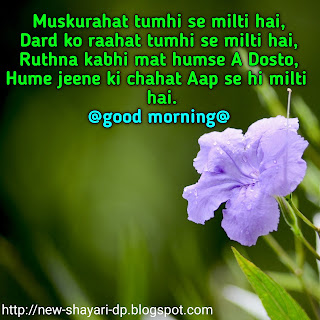 Good morning love shayari image download