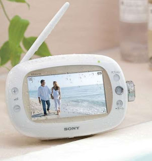 Sony Bravia XDV-W600 - Floating Waterproof Portable TV