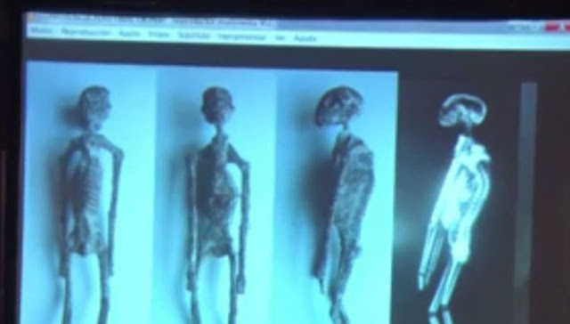 В Перу обнаружены тела "пришельцев"