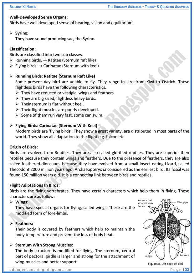 kingdom-animalia-descriptive-question-answers-biology-11th