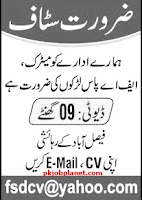 Private Organization jobs in Faisalabad