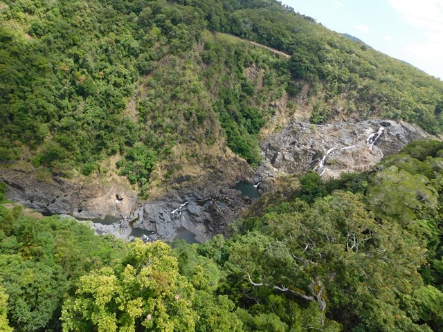 DSCN0121