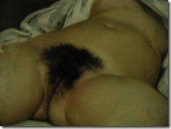 Courbet - l'origine du monde