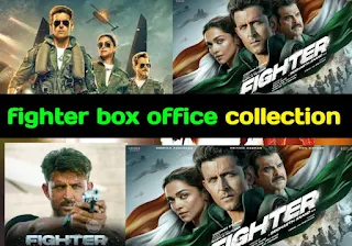 Fighter box office collection day 10