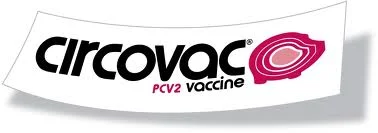 Vaccin PCV2 có bán sẵn trên thị trường.