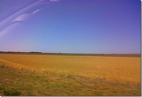 IMG00548-20110624-1727