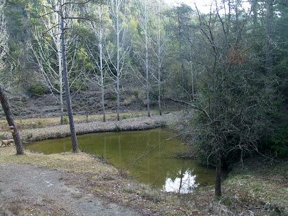 L'espai on hi ha la Font del Boix i la Font del Vicari