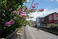 SMC PENTAX 1:2.8/30　絞り:F8（Easy Snap）