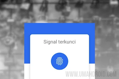 How To Lock Signal Messages