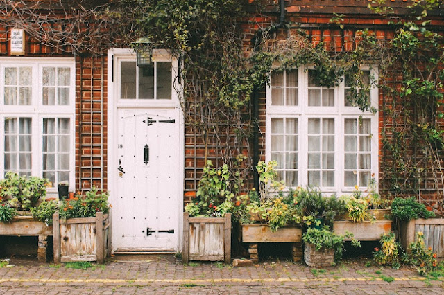 Ways to Use Extra Large Planters