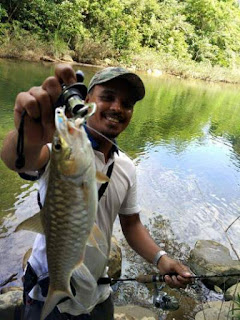 Teknik mancing masheer di sungai Aceh Besar Begini Teknik mancing masheer di sungai Aceh Besar