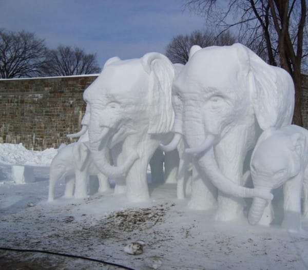 Other sculptures come in herds, like this family of elephants. - Artists Create Stunning Sculptures Using Nothing But Snow