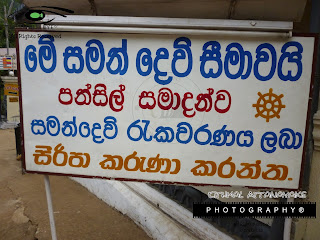 http://kithmal-photography.blogspot.com/2013/12/annual-sri-pada-pilgrim-season-in-sri.html