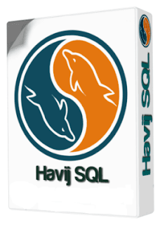 Free Download Havij 1.16 Pro Portable [CRACKED]