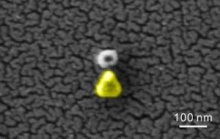 Nanoantenna SEM Image