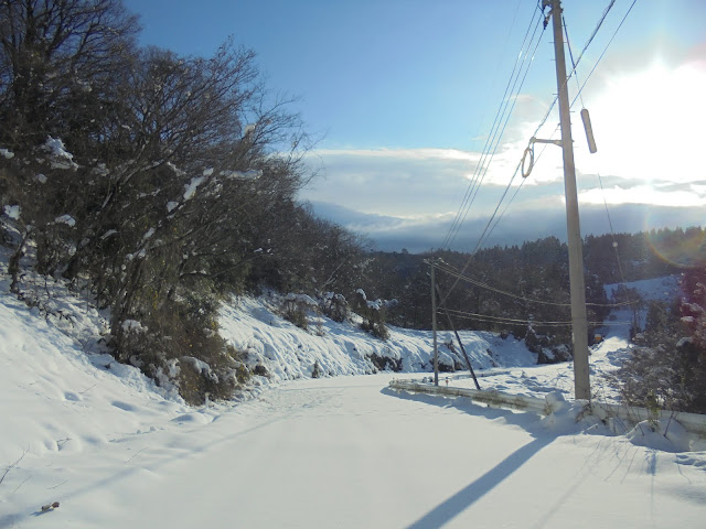 小林橋に降りる古い道路