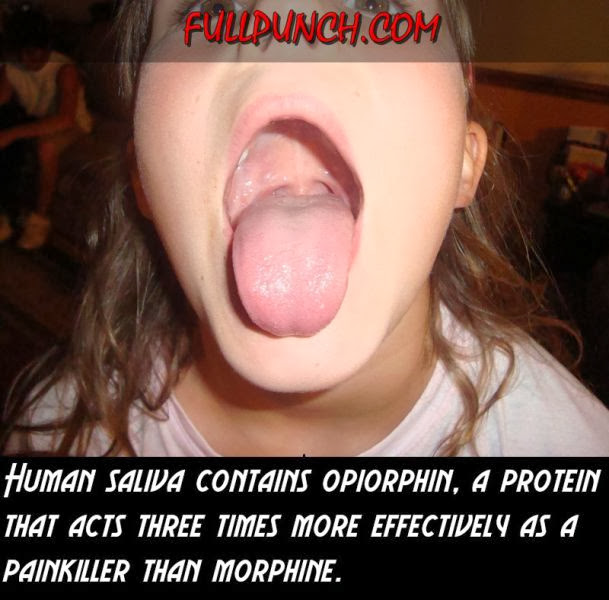 Interesting Facts about Human Body (23 pics), amazing facts, human body facts