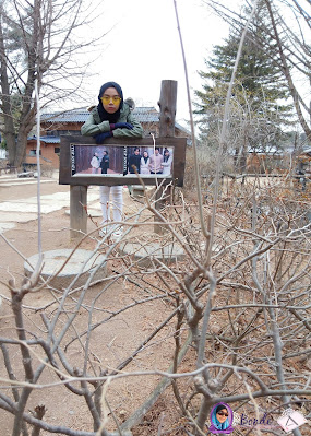 winter sonata