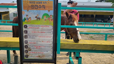 영천 호스파크, 빅점프 스토리 키즈까페 방문기