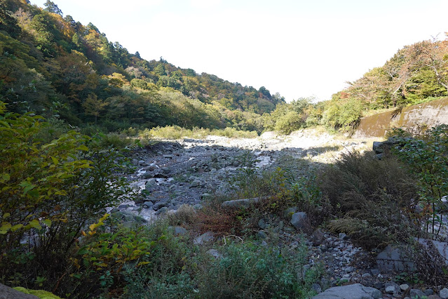 鳥取県西伯郡大山町大山　佐陀川