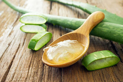 Aloe Vera For Dandruff