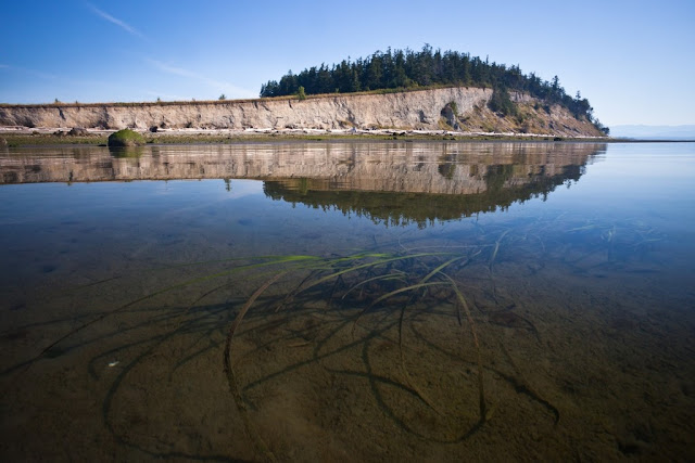 Barnum Point in Island County.