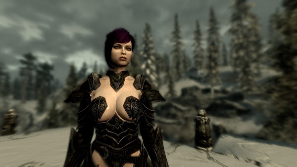 Custom armor for The Elder Scrolls V Skyrim