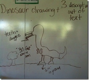 photo 4 (1)