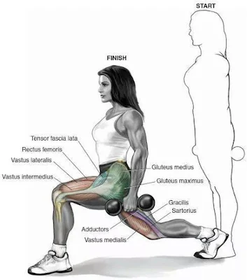 lunges